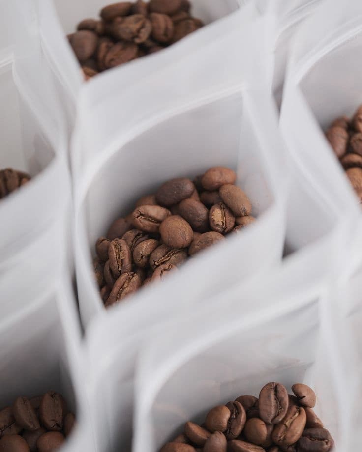 Coffee beans close up