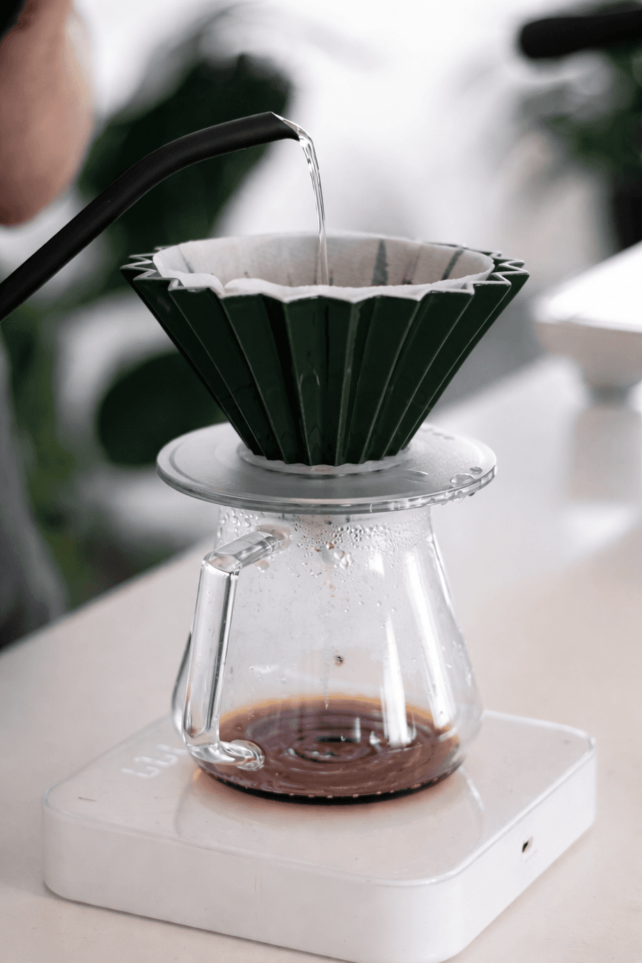 Pour over coffee
